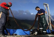 Pescadores y pequeños acuicultores de Los Lagos podrán optar a fondos por $540 millones.