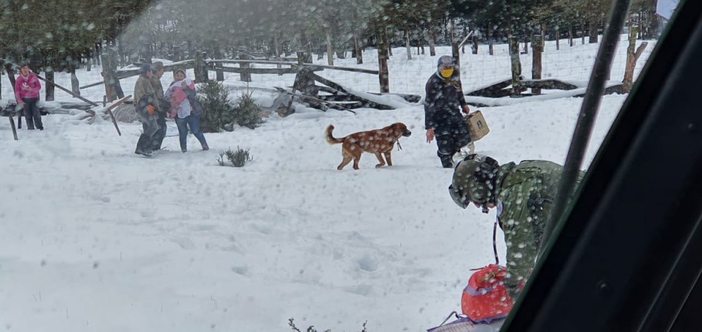 La FACH culminó operativo de apoyo a vecinos de sectores cordilleranos de la Región de Los Lagos