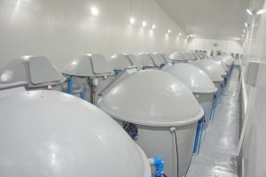 U. Austral de Chile y Skretting firman convenio de educación científica