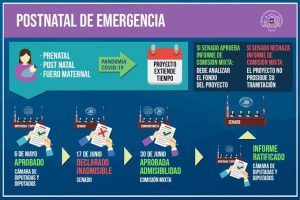 Cámara de Diputados aprueba informe de comisión mixta y declara constitucional postnatal de emergencia