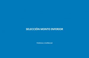 Así es el formulario que habrá que llenar para solicitar el retiro del 10% de las AFP
