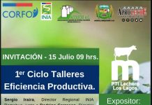 Realizarán taller «Huella de Carbono en producción de Leche