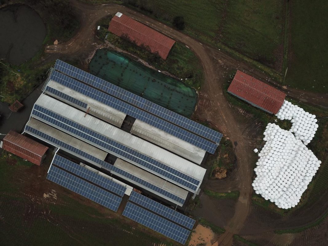 Paneles fotovoltaicos