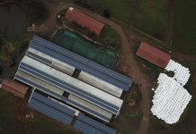 Socoepa y Cooprinsem inician operación de planta solar fotovoltaica de 250 kW en Purranque