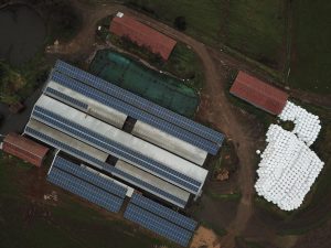 Socoepa y Cooprinsem inician operación de planta solar fotovoltaica de 250 kW en Purranque