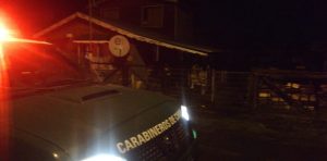 Carabineros Osorno: mujer detenida con drogas y patrullajes para evitar abigeatos