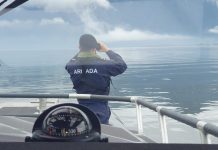 La Armada reanudó operación de búsqueda y salvamento en el área del Golfo Corcovado
