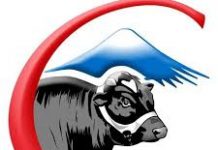 Podcast CAMPO AL DÍA: Avances de la Fruticultura en el sur de Chile. Seminario Internacional de COOPRINSEM