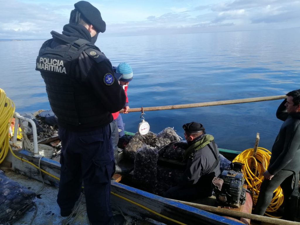 Detectan dos embarcaciones hurtando recursos marinos desde un área de manejo en Puerto Montt