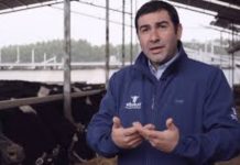 Podcast de CAMPO AL DÍA: Dr. Emilio Martinez, Vicepresidente de CORPCARNE