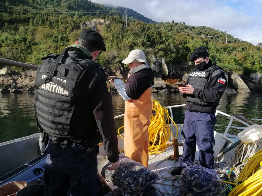 Detectan dos embarcaciones hurtando recursos marinos desde un área de manejo en Puerto Montt