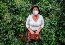 Sondeo/IICA: Covid-19 afecta a agricultura familiar y repercutirá en oferta de alimentos