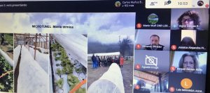 Con agricultura bajo plástico se proyecta potenciar horticultura de la región