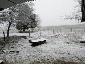 Nevazón sorprende a los habitantes de la provincia de Osorno