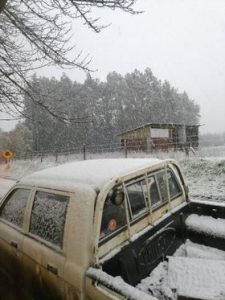 Nevazón sorprende a los habitantes de la provincia de Osorno