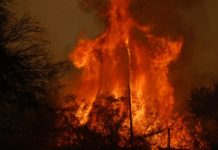 Incendios en Argentina: extienden hasta julio de 2021 la declaración de desastre agropecuario en Córdoba