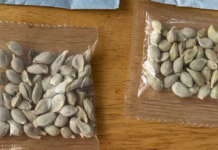 Podcast de CAMPO AL DÍA: Director Nacional del SAG. Horacio Bórquez