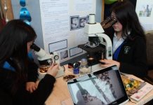 9° Feria de la Ciencia y Tecnología reunirá online a estudiantes en torno a la ciencia.