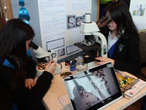 9° Feria de la Ciencia y Tecnología reunirá online a estudiantes en torno a la ciencia.