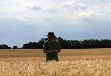 Rechazo a Tweet de ONU sobre producción de Carne en Federación de Asociaciónes Rurales del Mercosur