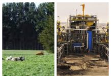 Podcast CAMPO AL DIA: 7.000 toneladas de Roca Fosfórica llegaron al Puerto de Lirquén desde Perú