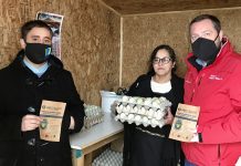 Familias huilliches posicionan el huevo azul como alimento funcional