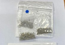 Alerta del SAG ante posible amenaza fitosanitaria en paquetes de semillas que llegan del extranjero