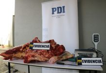 PDI detuvo a tres personas por el delito de abigeato y matadero clandestino en Valdivia