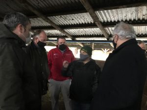 En un predio del sector de Pelleco, camino a Puyehue, el Ministro de Agricultura conoció el rescate  de machos lecheros para carne, junto a SAGO A.G. 