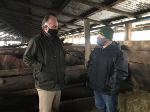 En un predio del sector de Pelleco, camino a Puyehue, el Ministro de Agricultura conoció el rescate  de machos lecheros para carne, junto a SAGO A.G. 