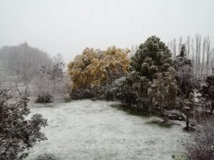 Nevazón sorprende a los habitantes de la provincia de Osorno