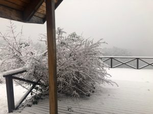 Nevazón sorprende a los habitantes de la provincia de Osorno