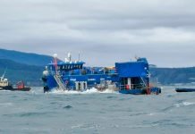Ordenan a Blumar la presentación de un Plan de Alerta Temprana por mortandad masiva de salmones