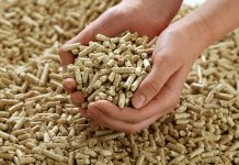 Osorninos critican manejo del Gobierno ante la disminución en la producción de pellet