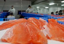 Una baja de un 30% registraron las exportaciones de salmón a China durante el mes de Julio