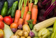 Obtienen vegetales más nutritivos mediante biotecnología