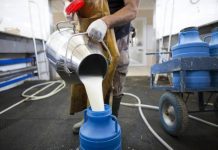 Recepción lechera por empresa, enero – julio de 2020