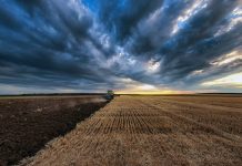 BAYER: mega compañía compensará a productores que reduzcan la huella de carbono