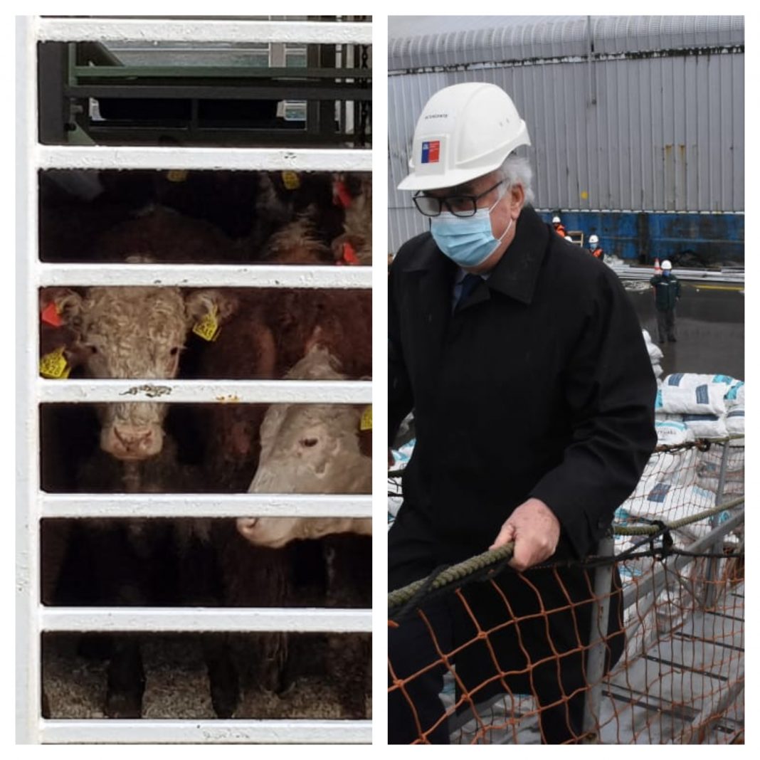 BeFunky-collage (11)