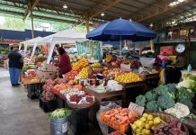 Feria Libres acusan falta de abastecimiento de frutas y verduras. Precios podrían aumentar si la situación se extiende