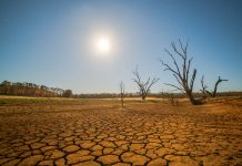 Podcast de CAMPO AL DÍA: Anteproyecto de ley del suelo. Comisión de Agricultura del Senado