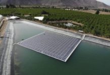 Hortifrut inaugura la primera planta fotovoltaica flotante en Chile