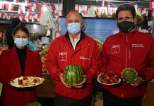 Lanzan concurso para escoger la fruta y la verdura preferida de Chile