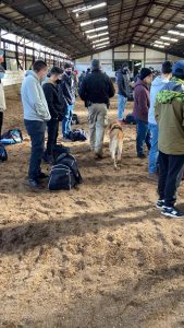 CONTIGO EN SAGO: Coronel Nelson Cabezas, Comandante del Destacamento de Montaña n° 9 Arauco