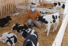 Exitoso Dia de Campo en predio de Manuka.