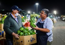 INDAP: Seminario online promueve asociatividad entre pequeños productores