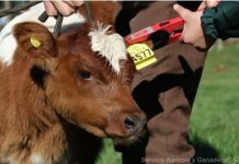 Declaración gremial de FEDELECHE ante investigación del SAG