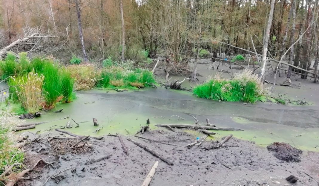 WhatsApp Image 2020-09-16 at 09.49.15