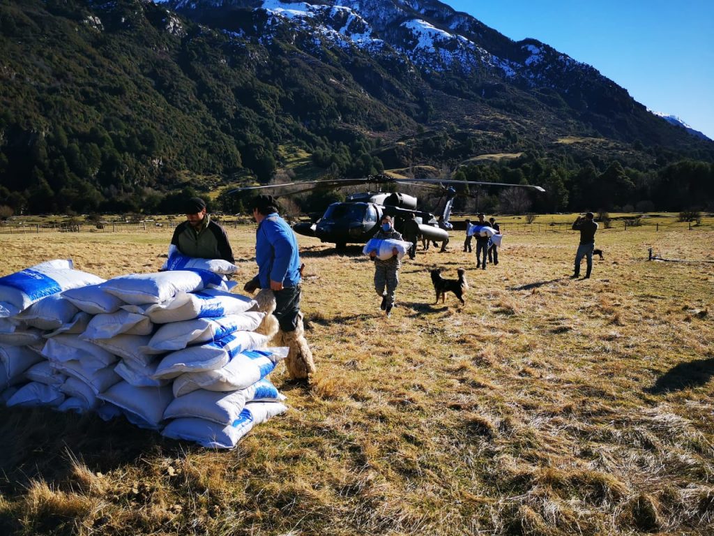La Fuerza Aérea realizó operativo de ayuda en Futaleufú y la alta cordillera de la región de Los Lagos