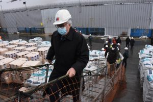 Seis mil vaquillas de raza serán exportadas a China, desde Puerto Montt